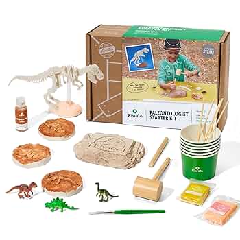 古生物/化石セット Amazon | XXTOYS 化石 発掘 キット 化石標本 クリスマス 天然