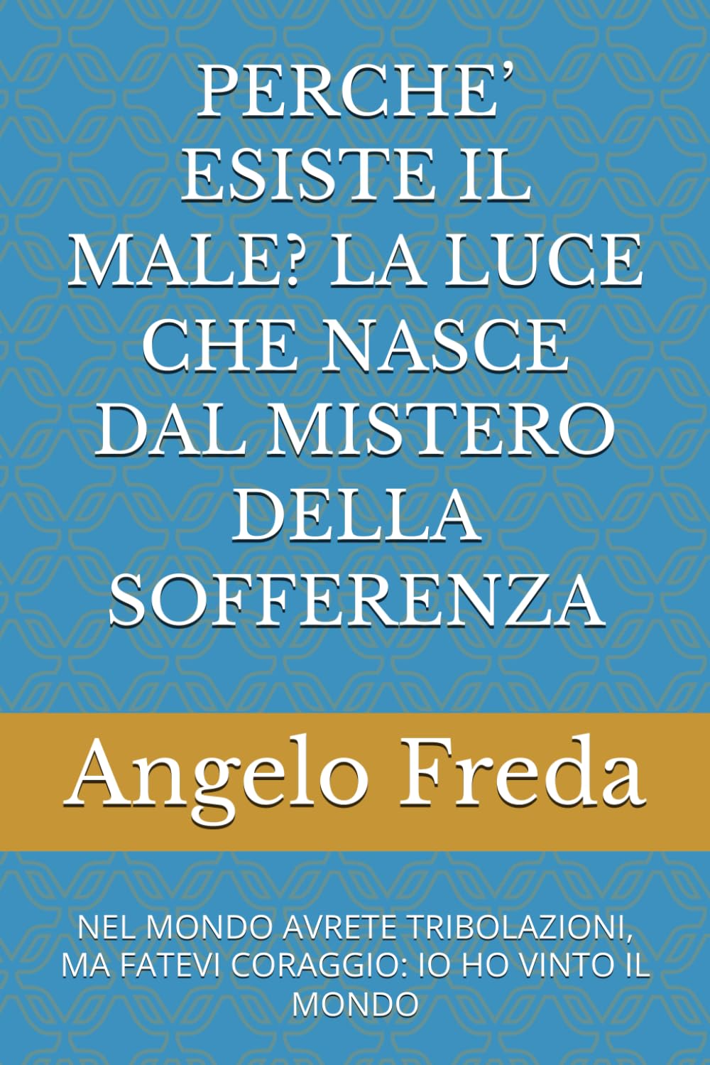PERCHE’ ESISTE IL MALE? LA LUCE CHE NASCE DAL MISTERO DELLA SOFFERENZA: NEL MONDO AVRETE TRIBOLAZIONI, MA FATEVI CORAGGIO: IO HO VINTO IL MONDO (IL LIBRO DEL PERCHE')