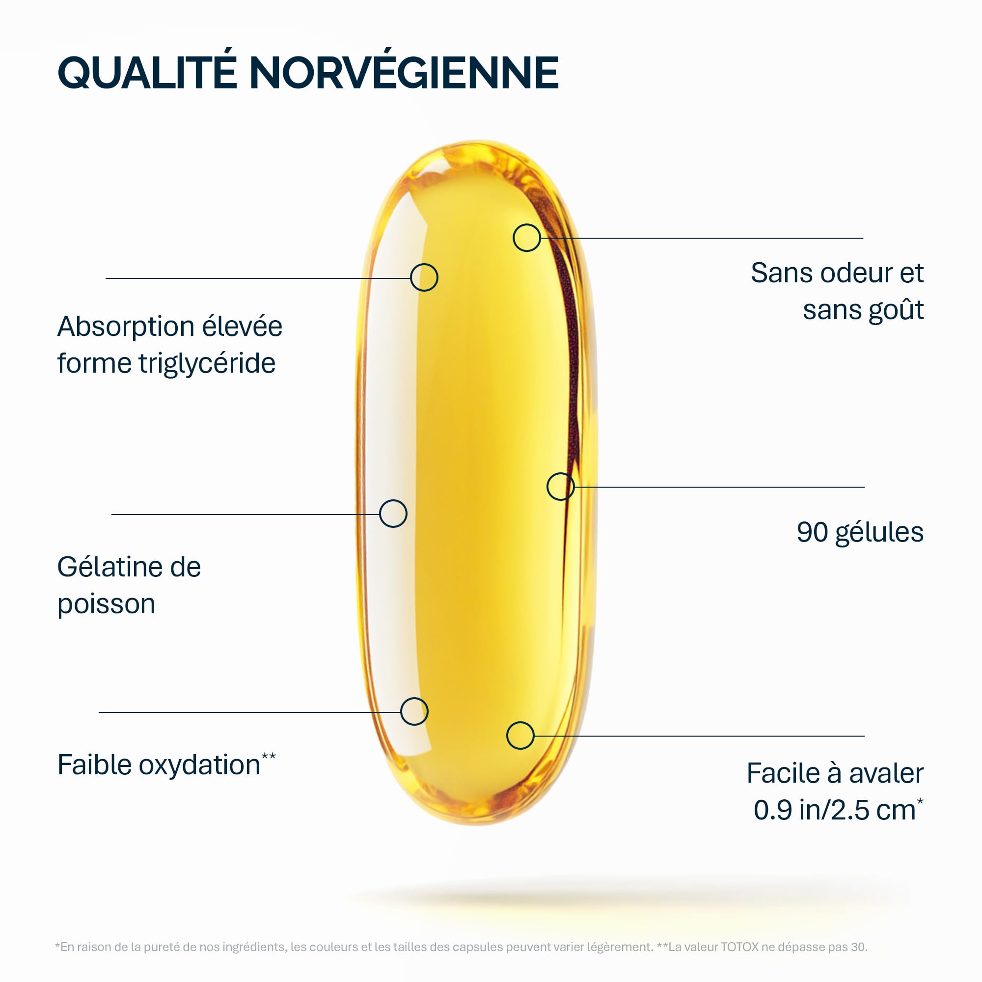 NFO Omega 3 Premium - Gélules Omega 3 Hautes Doses avec EPA & DHA - 90 | Huile de poisson Omega 3 gélules hautement dosées, huile d'oméga 3 à base d'huile de poisson avec EPA et DHA sous forme de TG