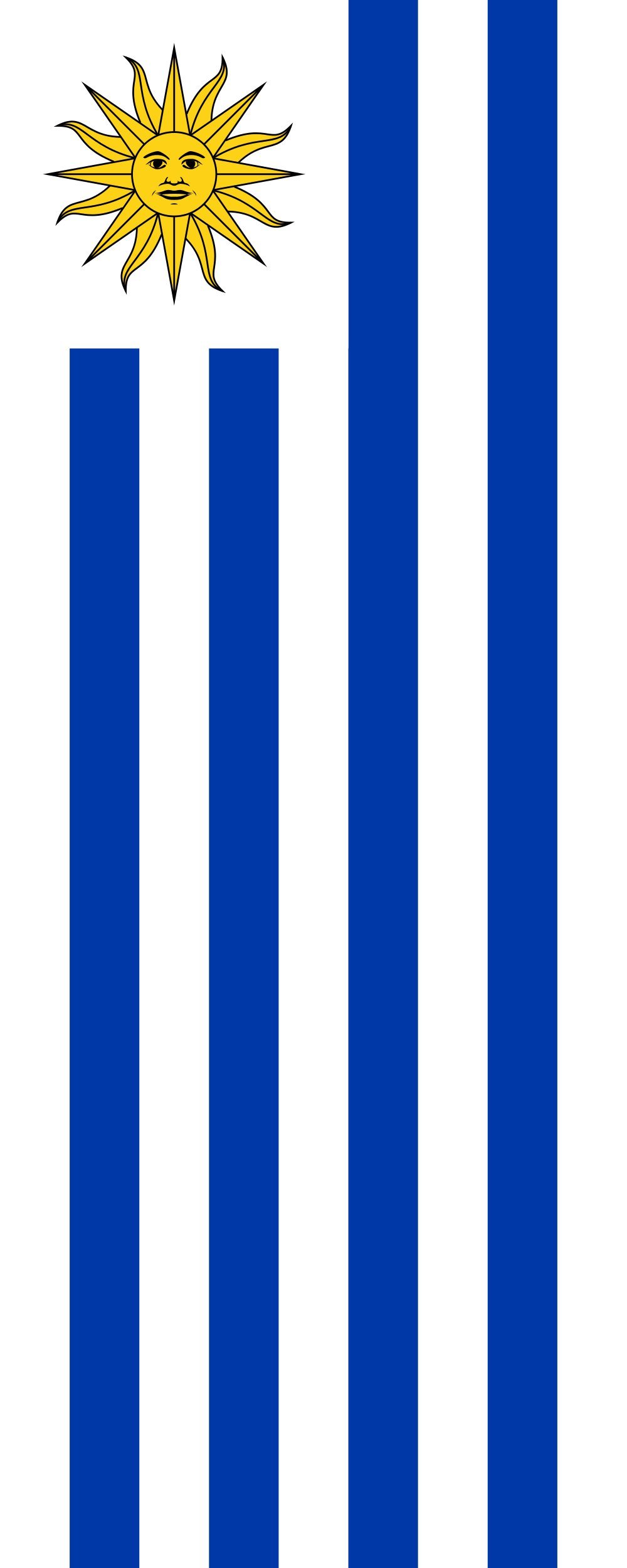 Drapeau Uruguay portrait 300x120cm pour remplacer vos pavillons usés de 3.5m²