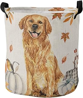 Collapsible Laundry Basket Golden Retriever Pumpkin Laundry Hamper with Handles Maple Leaf Storage Basket for Clothes Toys Bedroom Nursery Bathroom 13.8x17in