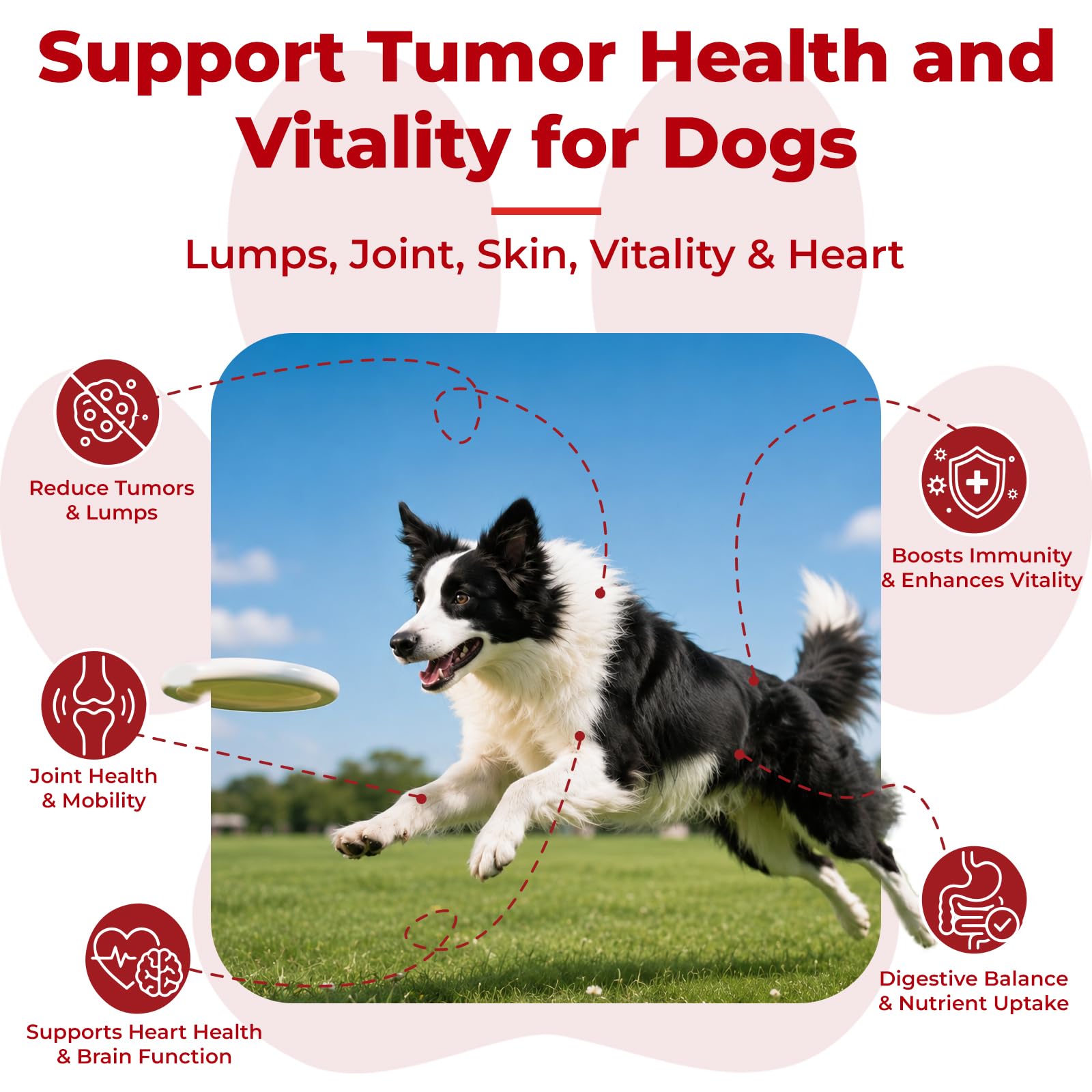Herbal Lipoma Support for Dogs – Reduce Bumps，Lipoma，Promotes Healthy Fat Metabolism，Tissue，Immune & Skin Support，Pain Relief，with Turkey Tail Mushroom+L-Carnitine, Safe for All Breeds，Chicken，120 Tab — Amazon image 2