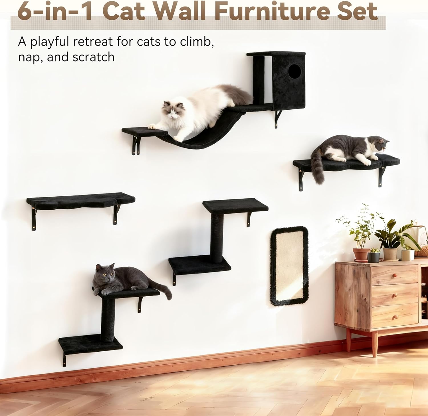 6-in-1 Cat Wall Shelves, Wall-Mounted Cat Furniture for Indoor Kittens, Modern Floating Shelves with Scratching Posts, Bed, Perch, Bridge, Condo, Steps and Scratcher, Space-Saving Gym, Black