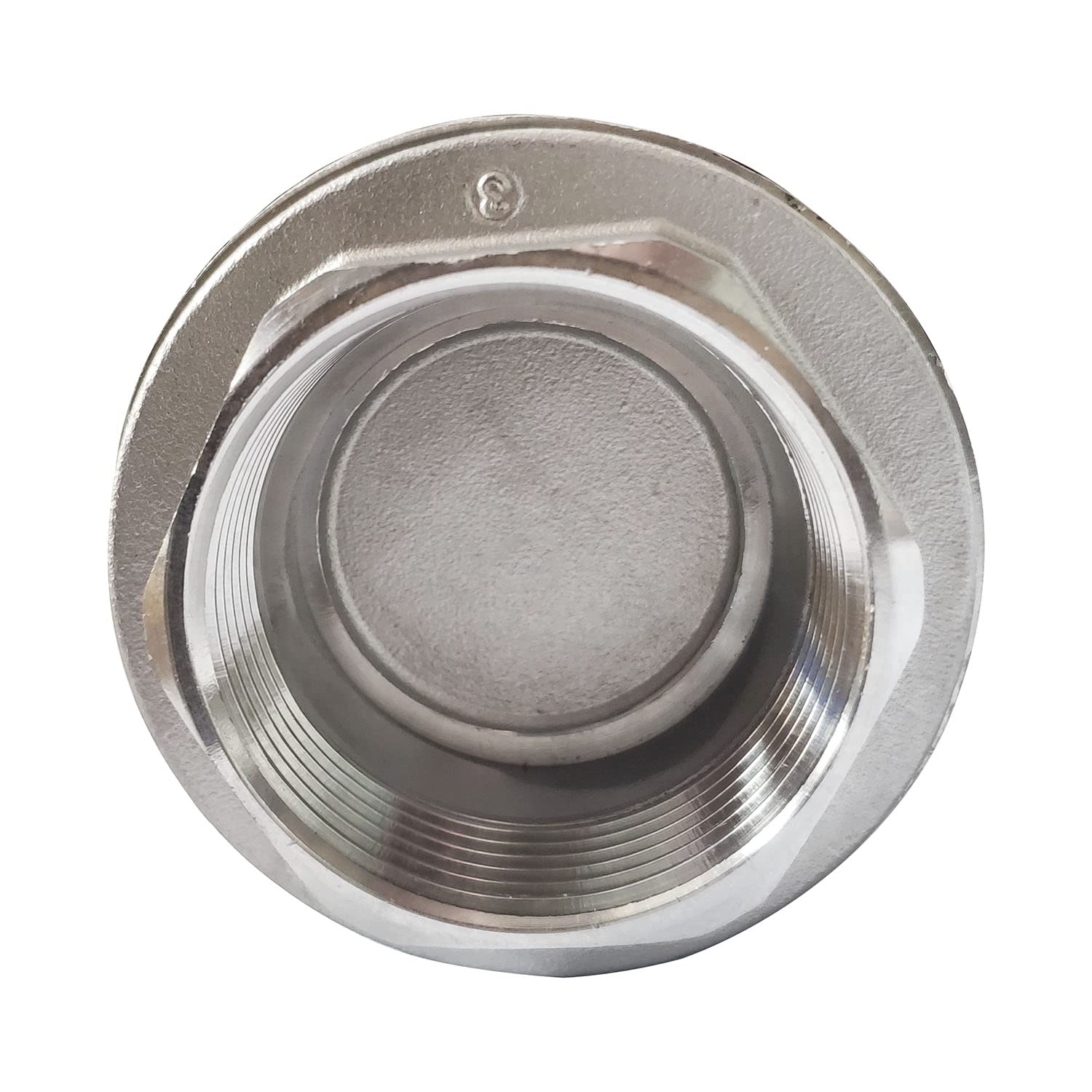 1/2" Vertical Check Valve, Stainless Steel, NPT Threaded, 1000PSI