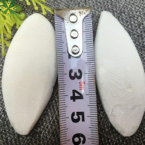 Miniatura 5 de Acxico 10 piezas de huesos de sepia molares para mascotas Huesos de sepia Huesos de sepia 3.1-3.9 in