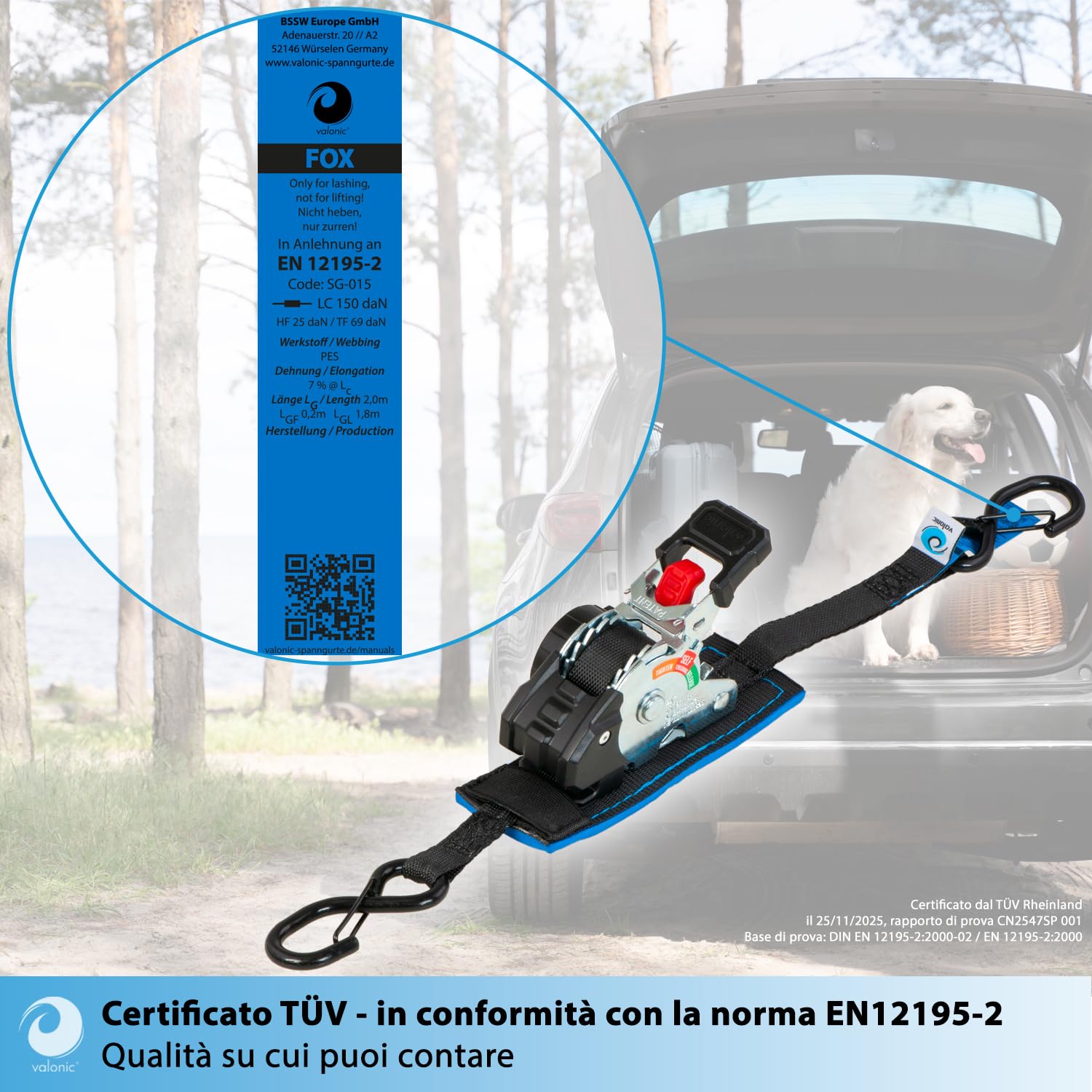 valonic FOX 2 m, mini cinghie a cricchetto, per fissaggio in furgone, set da 2, 150 kg forza di serraggio, 19 mm, cricchetto gommato