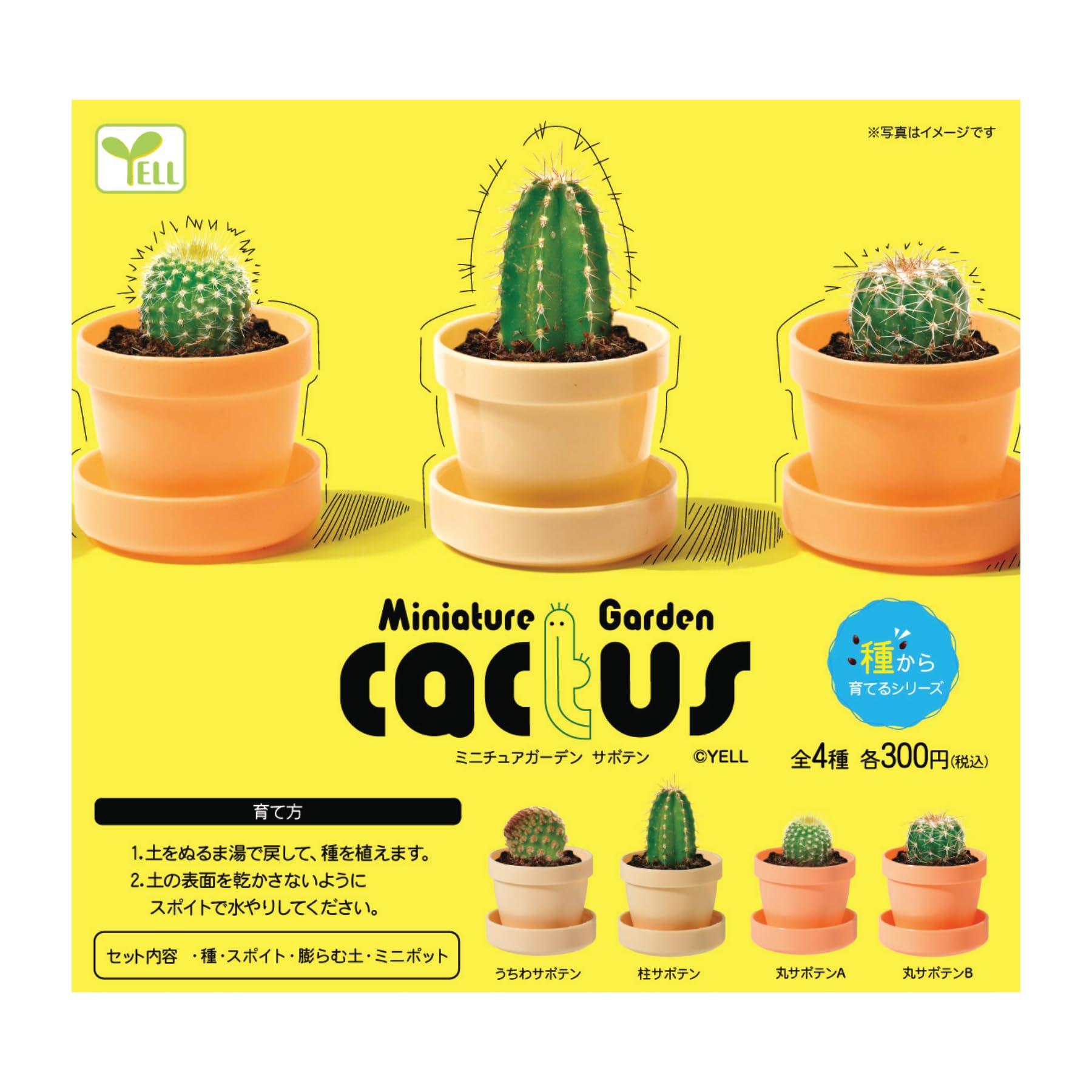 Amazon | ミニチュアガーデン サボテン 【全4種セット】【フルコンプ