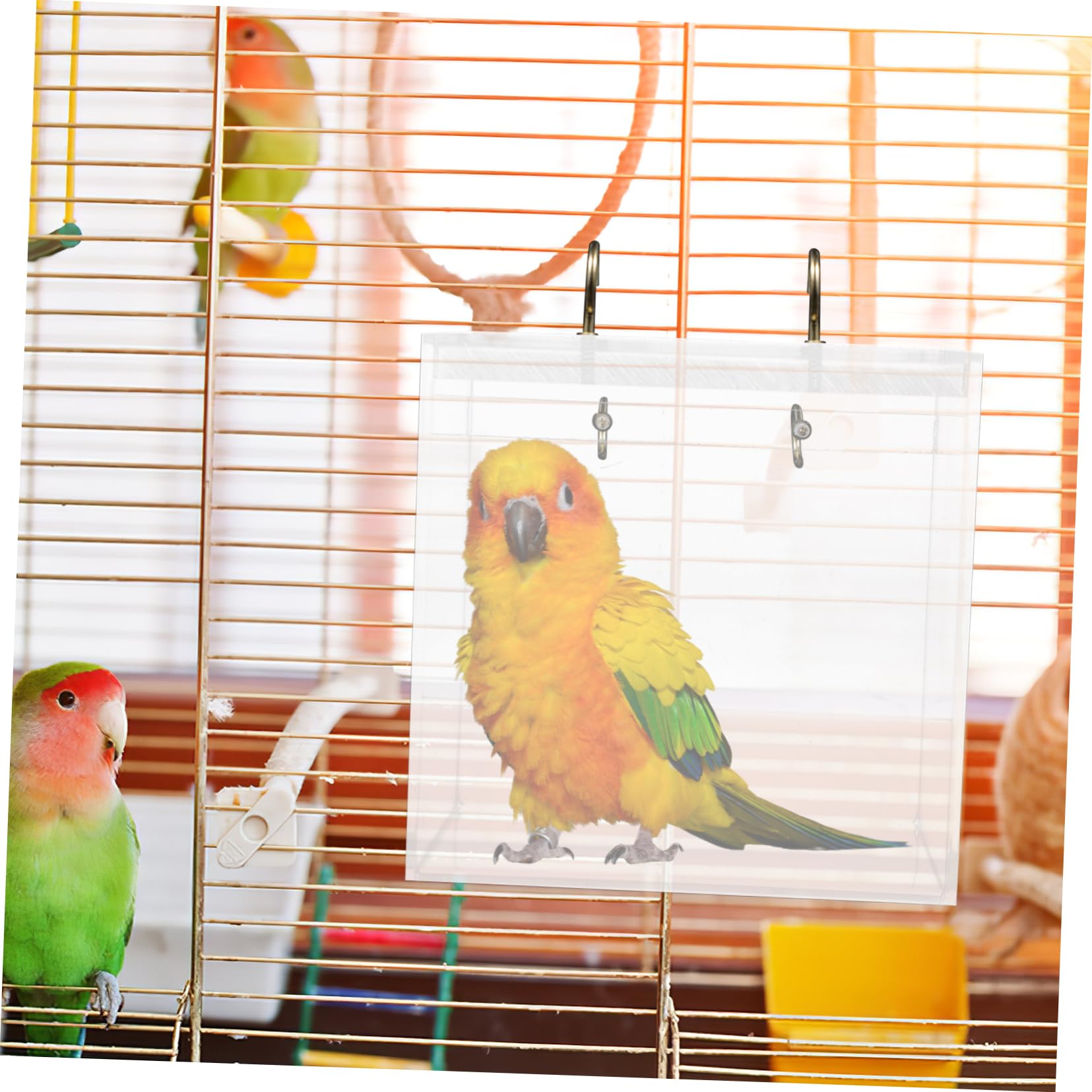 POPETPOP Acryl Vogelbad für Wellensittiche und Papageien, Abnehmbar