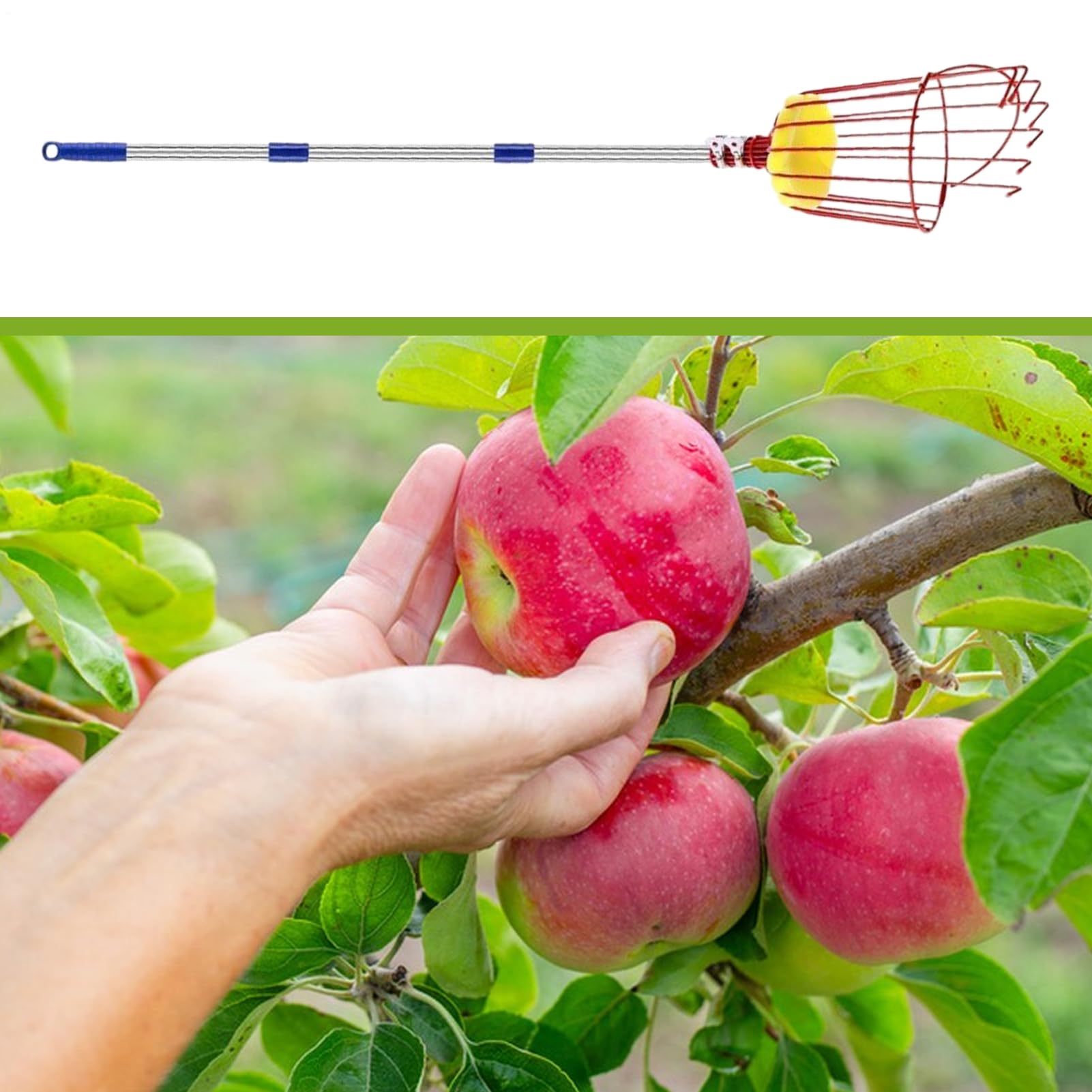 Perche Cueille-Fruits Télescopique Avec Panier Portable