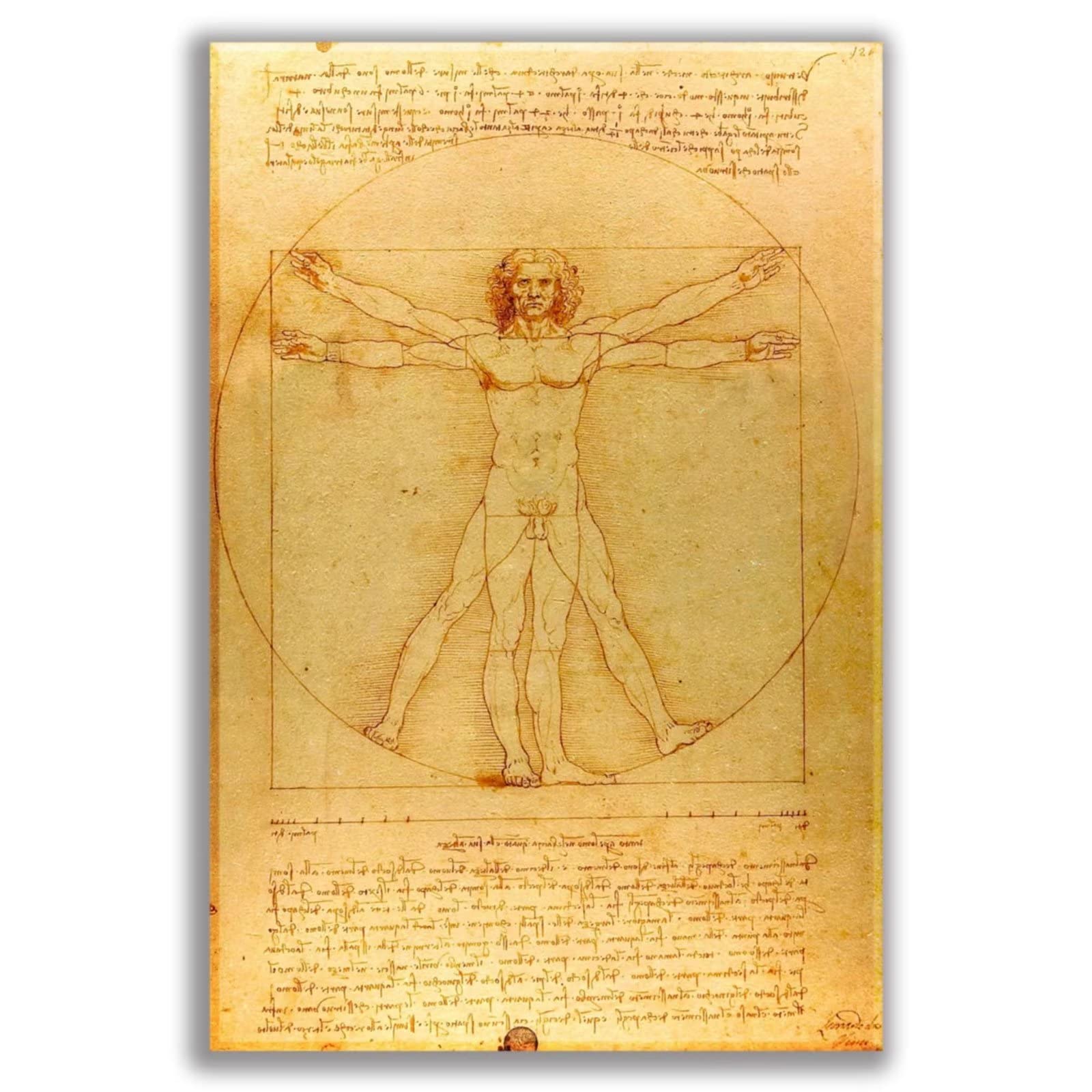 Vitruvian Man Poster, Vitruvian Man By Leonardo da Vinci Giclee Prints Canvas Wall Art Poster, 16x24 Inch Unframed, Leonardo da Vinci High Renaissance Artists Wall Art for Living Room Bedroom Bathroom