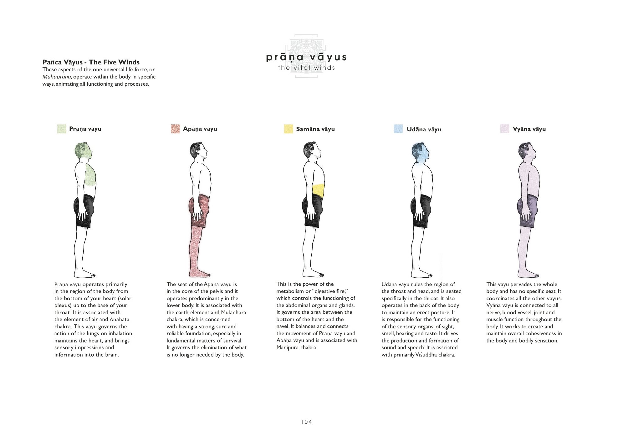 The Yoga Practice Guide 2