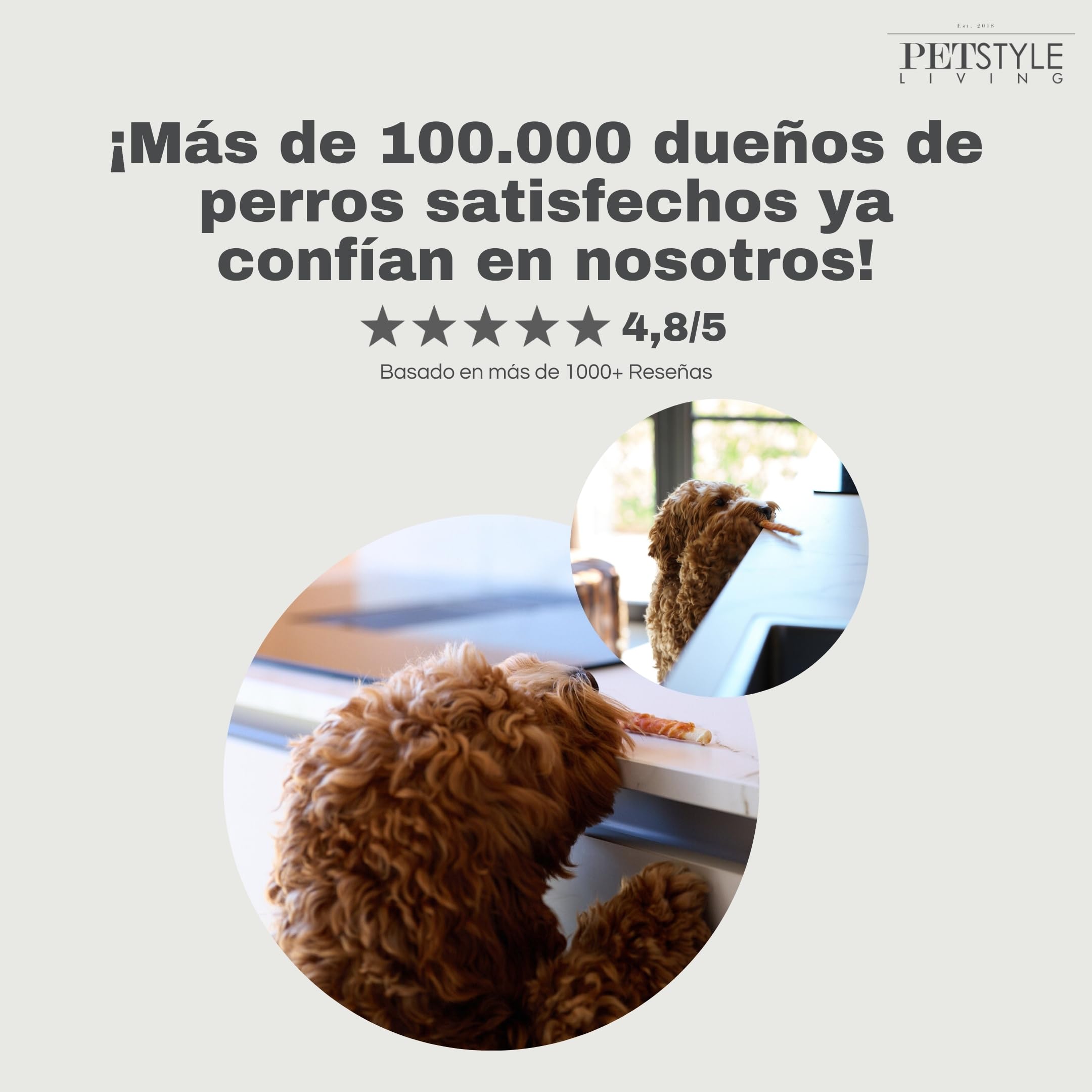 Palitos para Masticar con Pollo - Snacks para Perros - 12,5 cm - Pack 100 Unidades