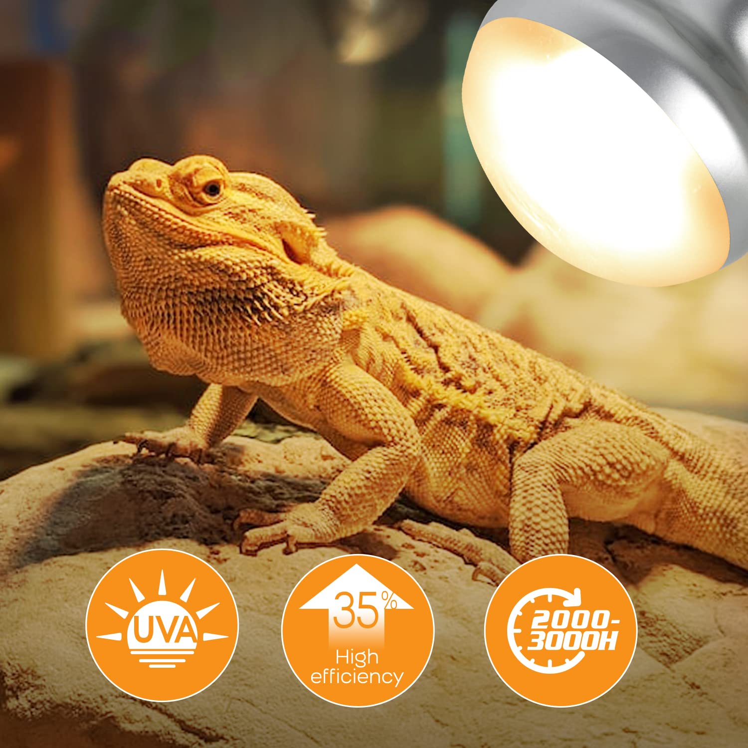 Reptile Light Pack 100-Watt Basking Light For Reptile Heat