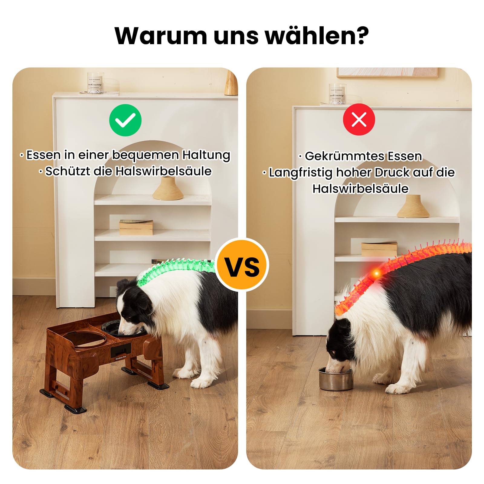 Gardner Pet Erhöhter Hundenapf, 2-in-1 Auslaufsicher, Mittlere Große Hunde | Wassernapf & Langsamfutternapf, Höhenverstellbarer Napfständer, 5 Höhen, Rutschfest