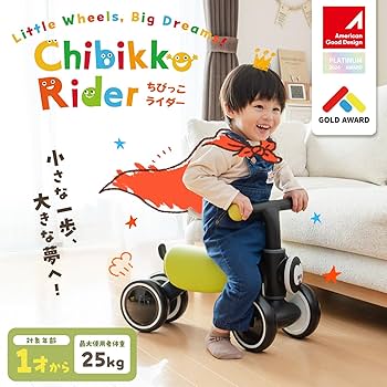 71YW6WAiu-L._AC_UF350,