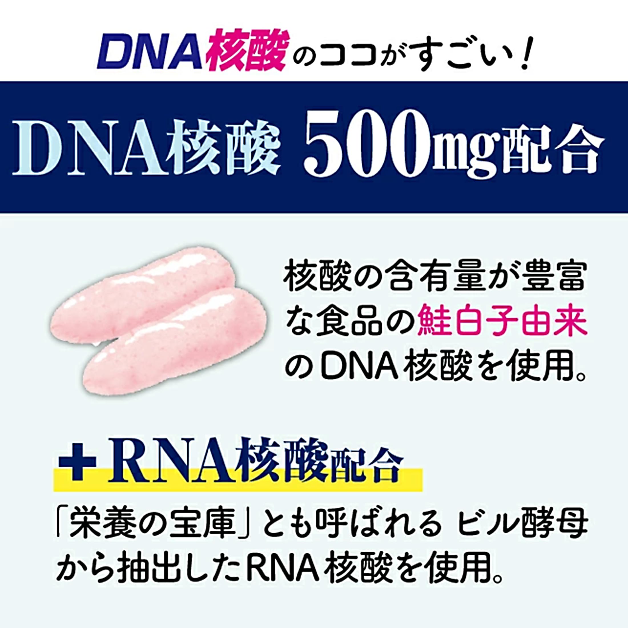 Amazon | わかさ生活 DNA核酸 核酸 サプリ DNA RNA コエンザイムQ10