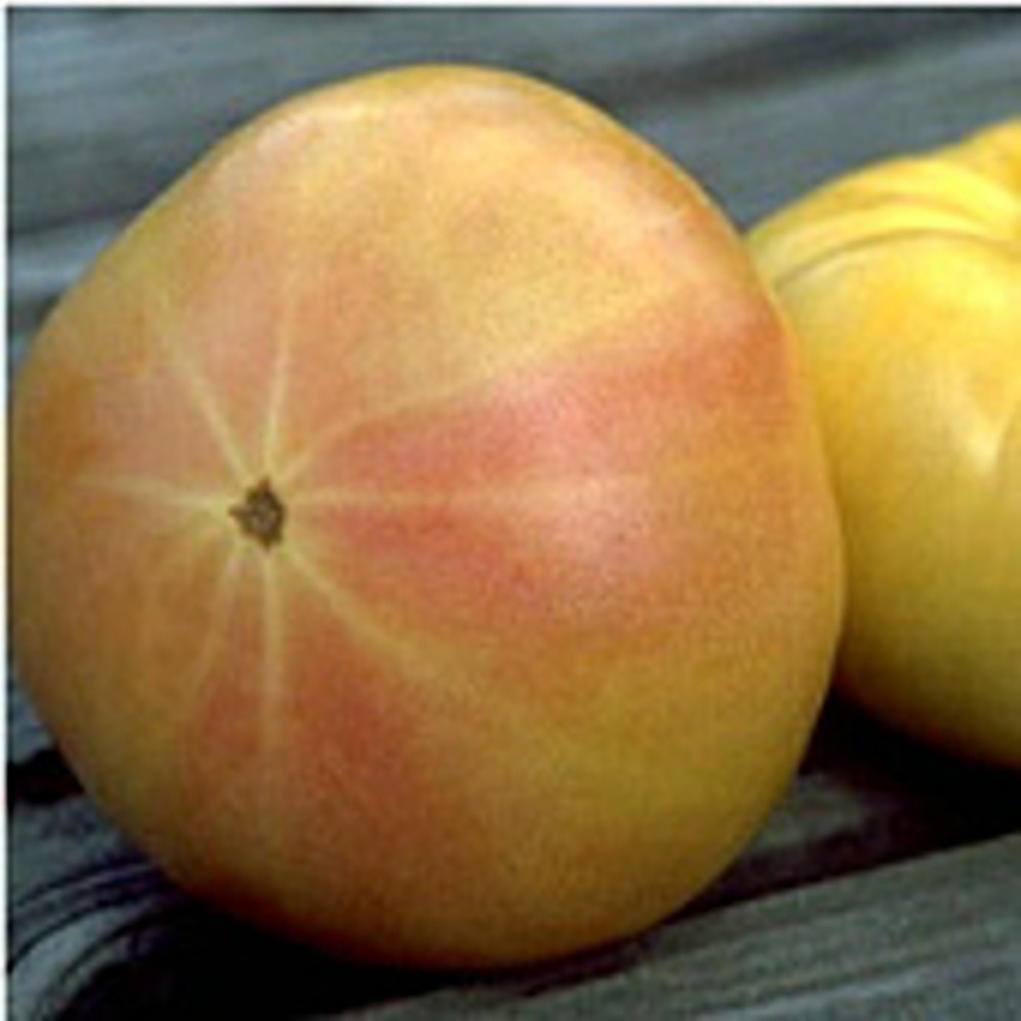 Golden Queen Tomato Seeds (40 Seeds) Seeds for Planting, Farm, Growing in Garden, Greenhouse, Vegetable, Fruit