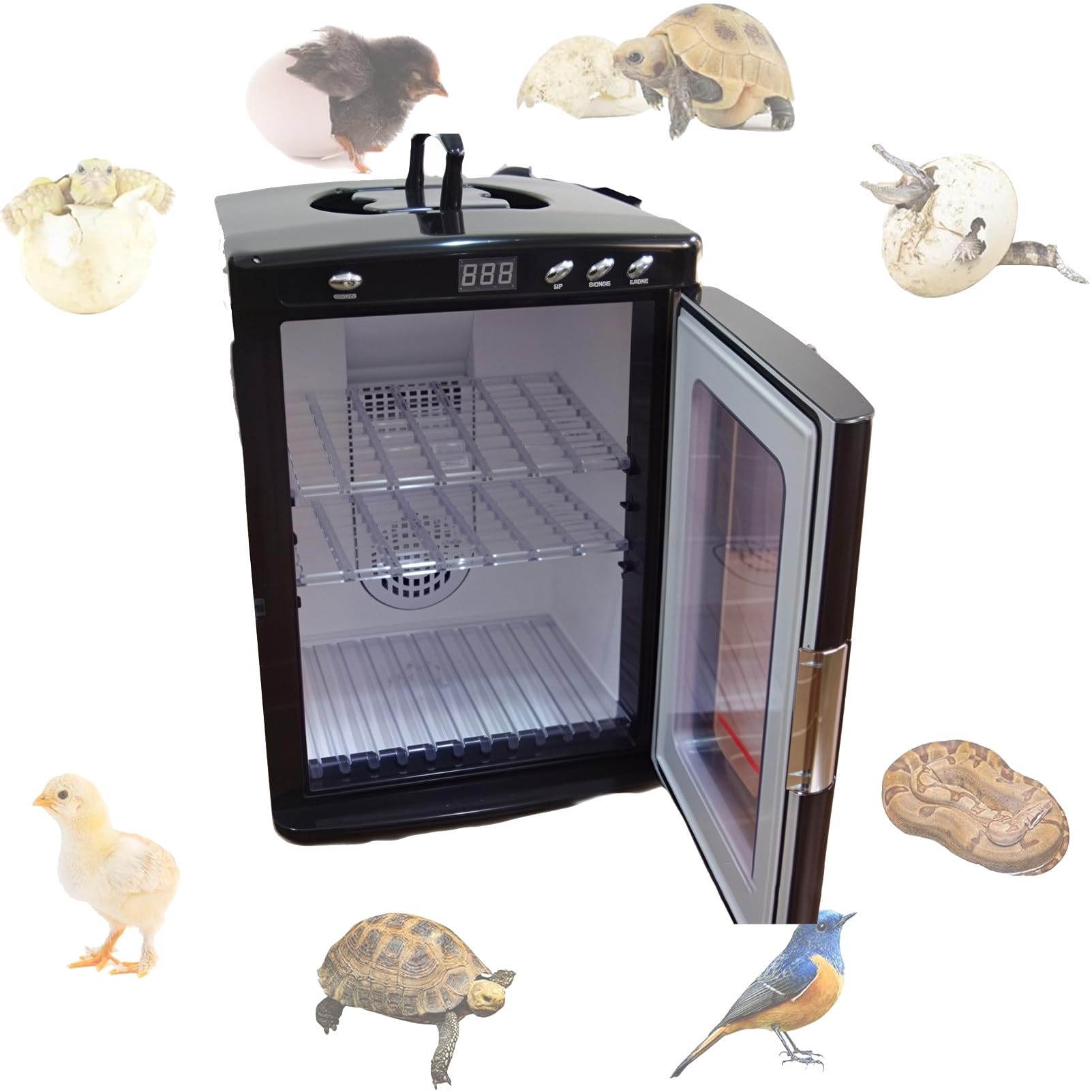 Pnpaea 25L 400W Reptile Egg Incubator, Scientific Lab Incubator with 5°C-60°C Temperature Control, LED Display, Auto-Turn,Dual Ventilation, Suitable for Snake, Tortoise, and Lizard Breeding Black