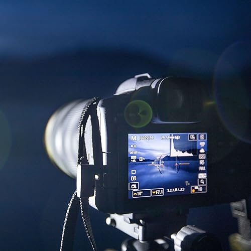 Miniatura 5 de Canon EOS R5 Cámara sin espejo (solo cuerpo), Cámara híbrida de marco completo, Video 8K, Sensor CMOS de 45 megapíxeles, Procesador de imagen DIGIC