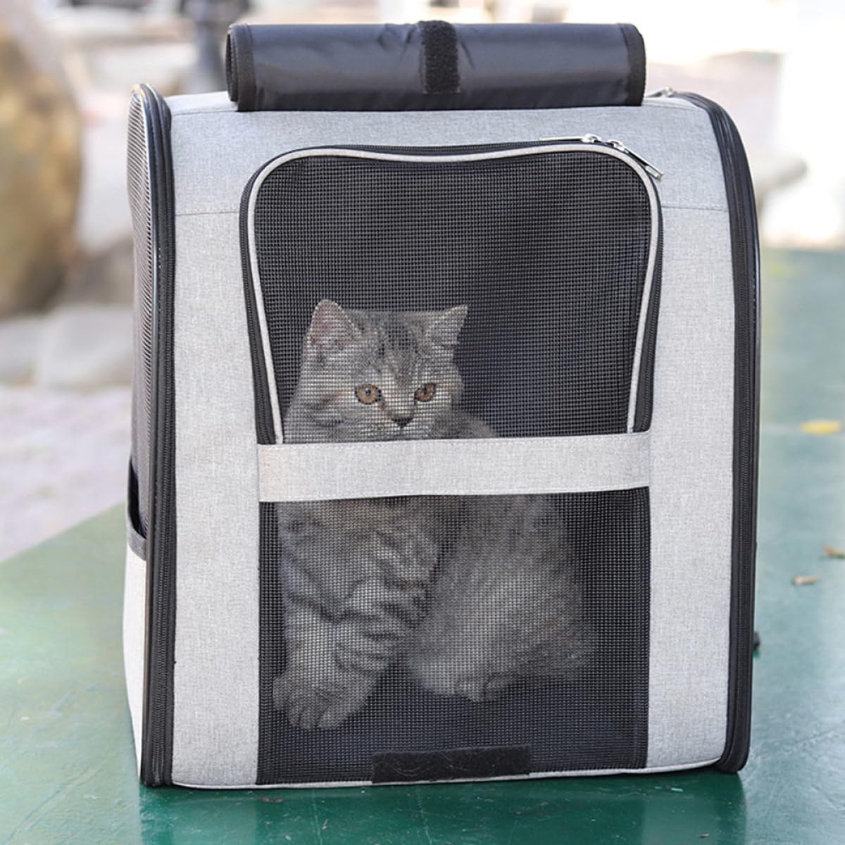 Totority Katzenrucksack Tragbare Aufbewahrungstasche aus Oxford Stoff Atmungsaktiver mit Doppelten Trägern für Katzen für Ausflüge und Picknicks
