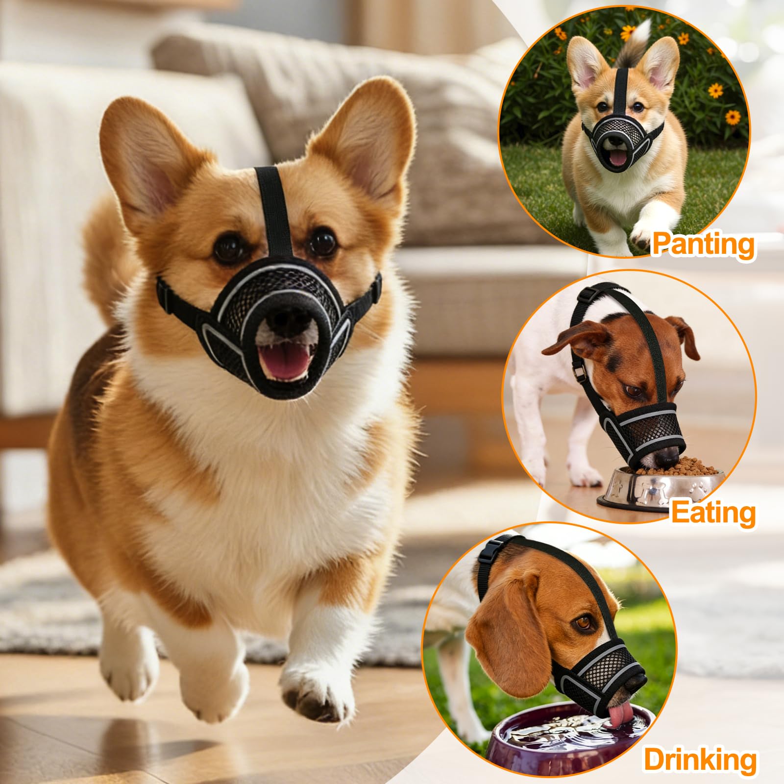 Museruola Per Cane in Nylon,Museruola Traspirante per Cani,Dog Muzzle Regolabile Cane,Traspirante Museruole per Cani in Rete,Prevenire Morsi Masticare e le Ingestioni Sostanze Nocive (XL)