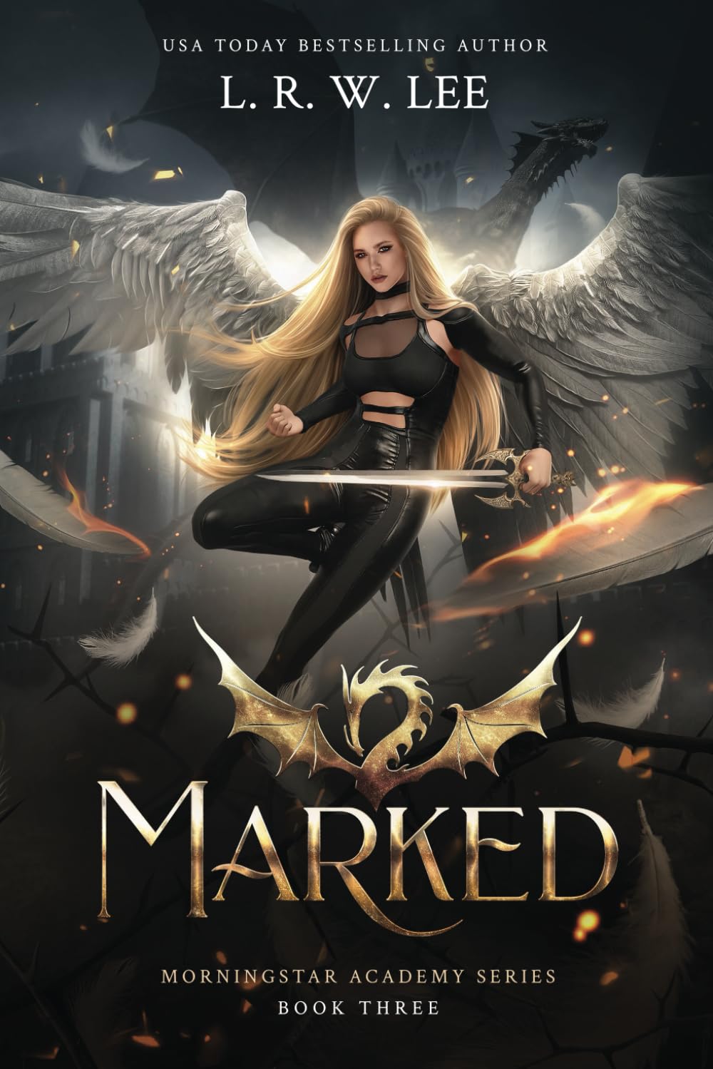 Cover image for Morningstar Academy series