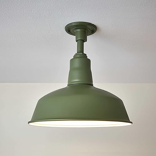 Miniatura 6 de Krylon K05566007 COLORmaxx - Pintura y base en aerosol para uso en interiores y exteriores, color verde oliva italiano (Italian Olive Green)