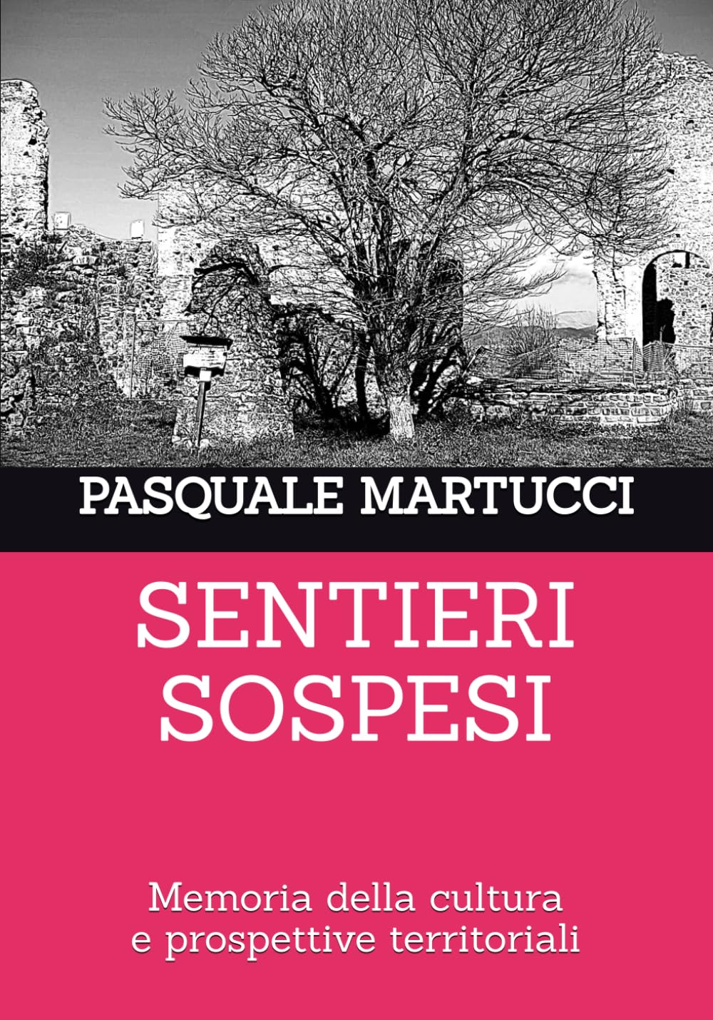 SENTIERI SOSPESI: Memoria della cultura e prospettive territoriali
