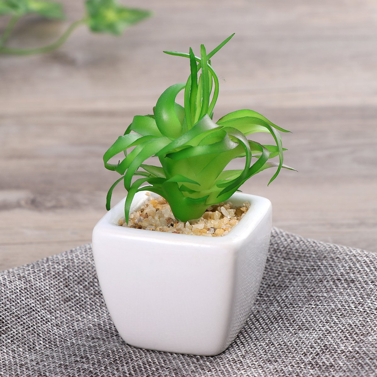 Winomo Lot de 4 plantes grasses artificielles avec pot en céramique blanche