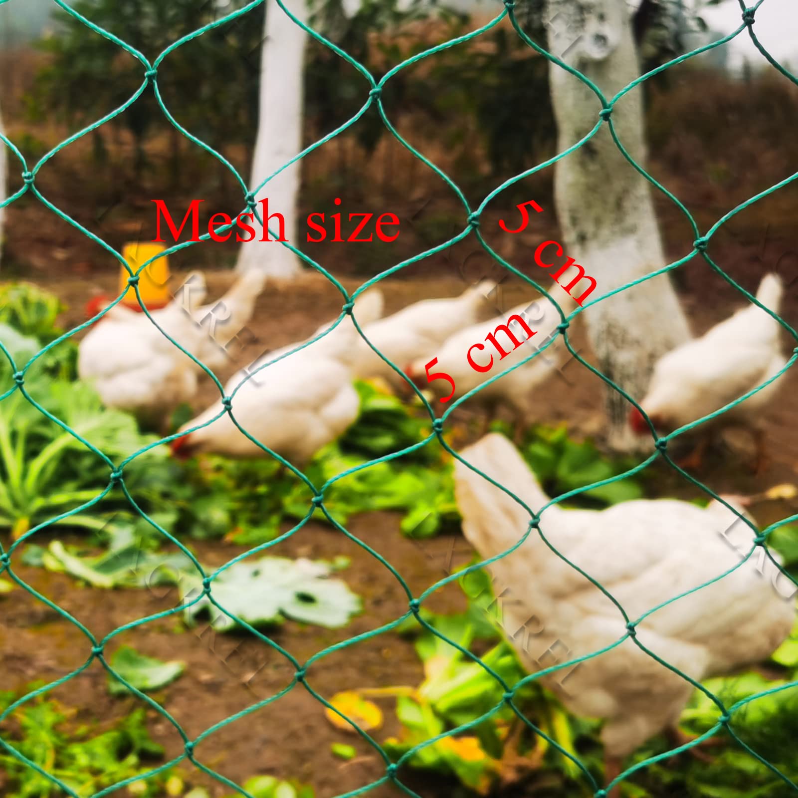 Siatka dla drobiu, bardzo wytrzymała siatka wolierowa z 36 nitek, ze stałymi węzłami, siatka 5 cm, ogrodzenie dla drobiu, bez prądu, do ochrony przed ptakami drapieżnymi, idealne uzupełnienie