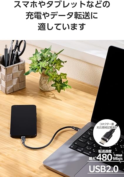 ELECOM USB Type C Cable 0.5 ft Short 100W PD Compatible High-Speed Charging Silicone Material Smooth Soft [Compatible with MacBook/iPad/Galaxy/Android Phones and Tablets] Black [iPhone 16 Series - 5