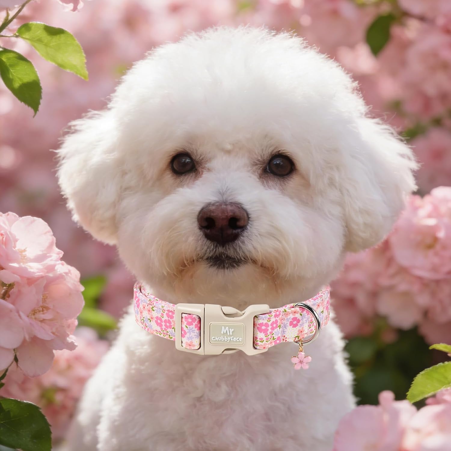 ·MR.CHUBBYFACE· Pink Flower Dog Collar for X-Large Dogs XL image 5