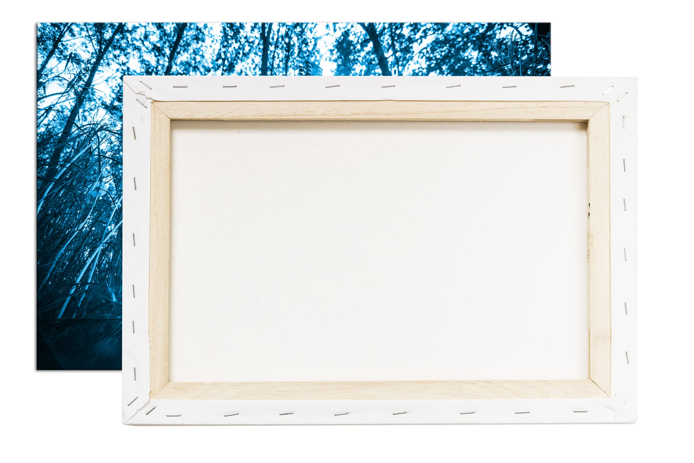 Chitarra Acustica Effetto Bosco idilliaco: Disegno su Tela incorniciata su Telaio in Vero Legno, Stampa Digitale di Alta qualità con Cornice, nessun Poster o Poster, Stampa su Tela, 100x70