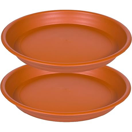 16 Inch Plant Saucer: Keep Your Plants and Floors Healthy