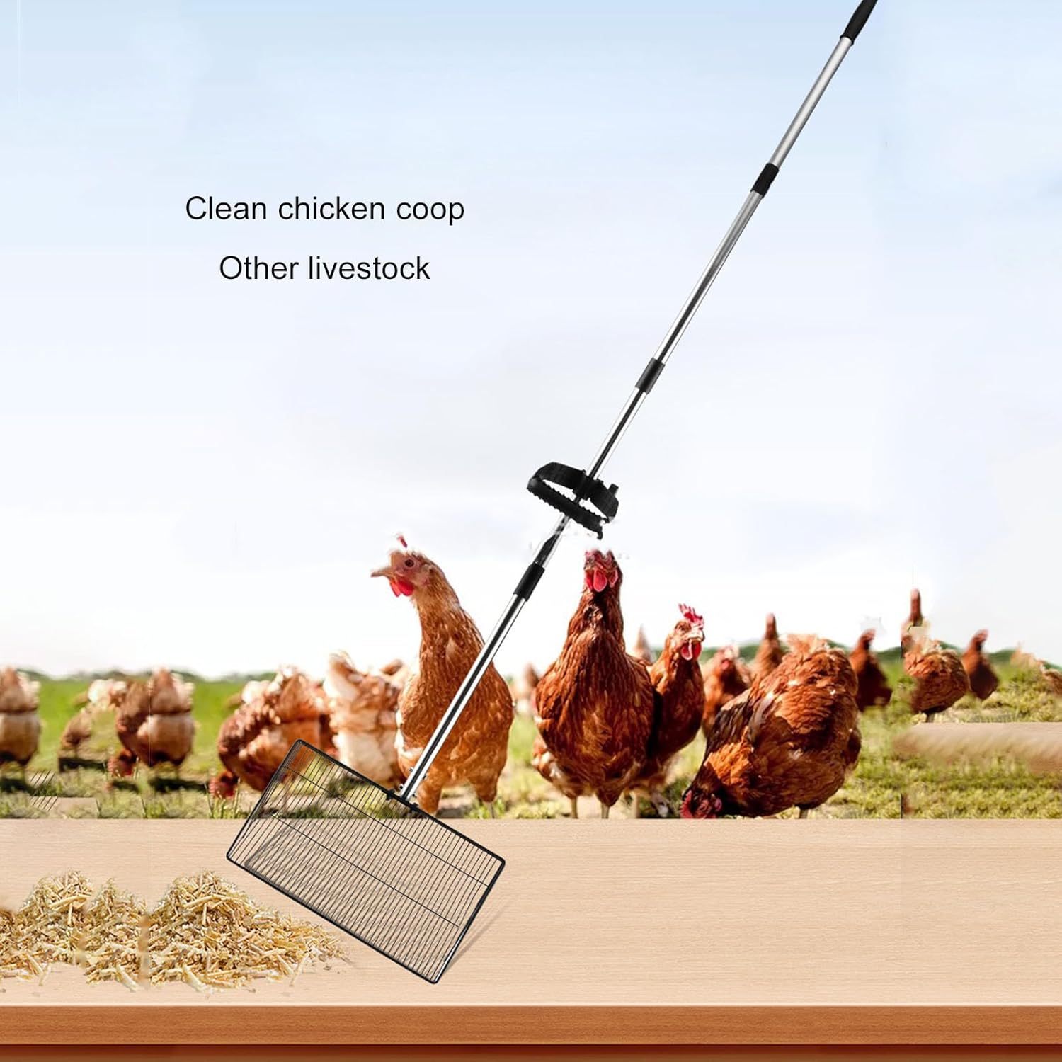 Large Chicken Poop Scooper, 43 to 69 in Adjustable Long Handle Telescopic Stainless Steel Anti Stick Chicken Coop Litter Sifting Shovel for Pet Waste Cleaning