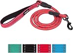 Heavy Duty Dog Leash - Durable & Reliable Pet Leash for Walking, Training & Control - Reflective for Safety - Adjustable Length - Comfortable Handle - Suitable for Large & Small Dogs (Green)