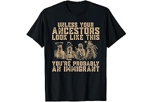 American Indian You're Probably An Immigrant T-Shirt