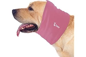 Happy Hoodie for Dogs: Calming Anxiety and Promoting Comfort
