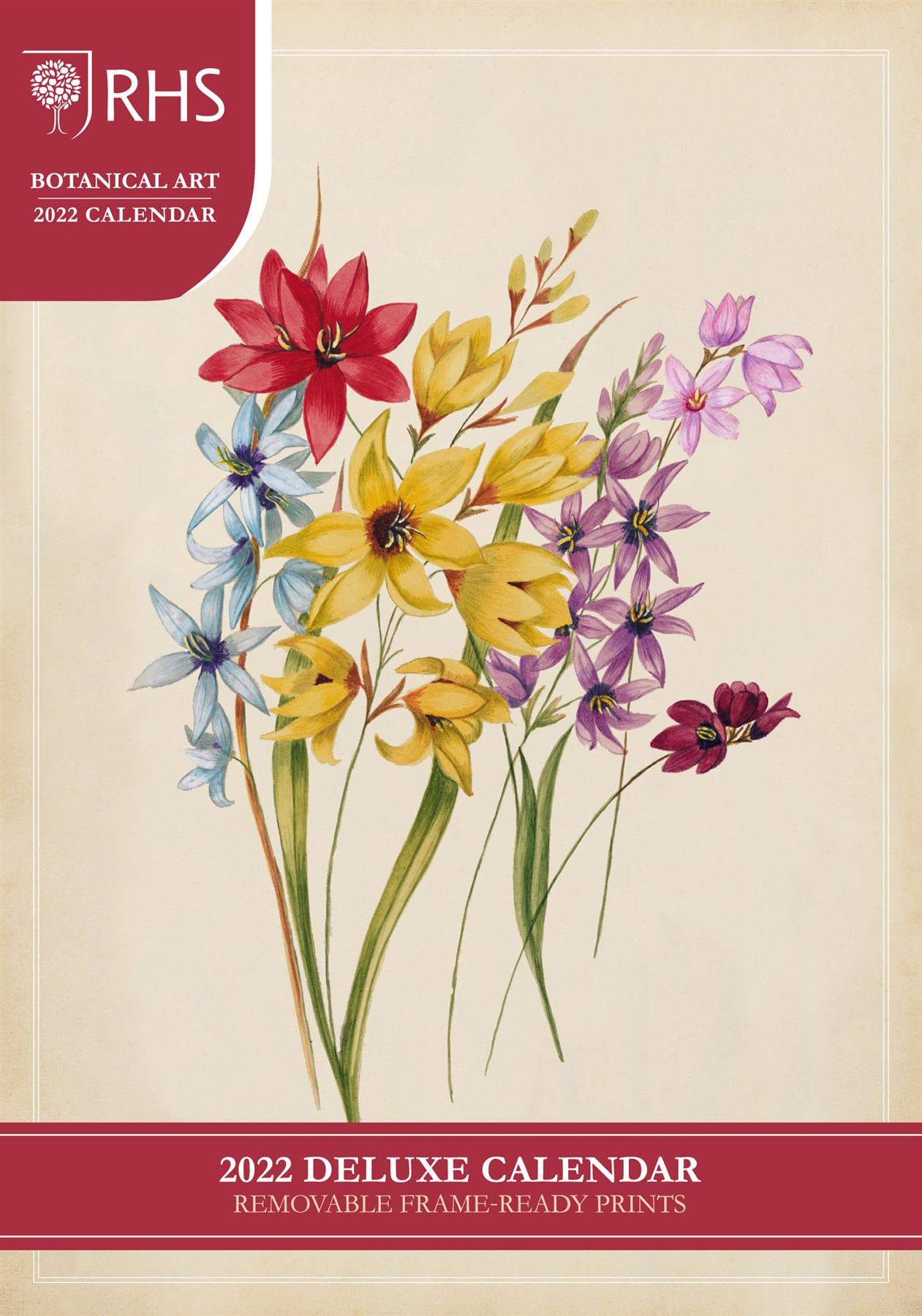 Buy RHS Botanical Art A£ Deluxe 2022 Twelve Frame Ready Prints Online