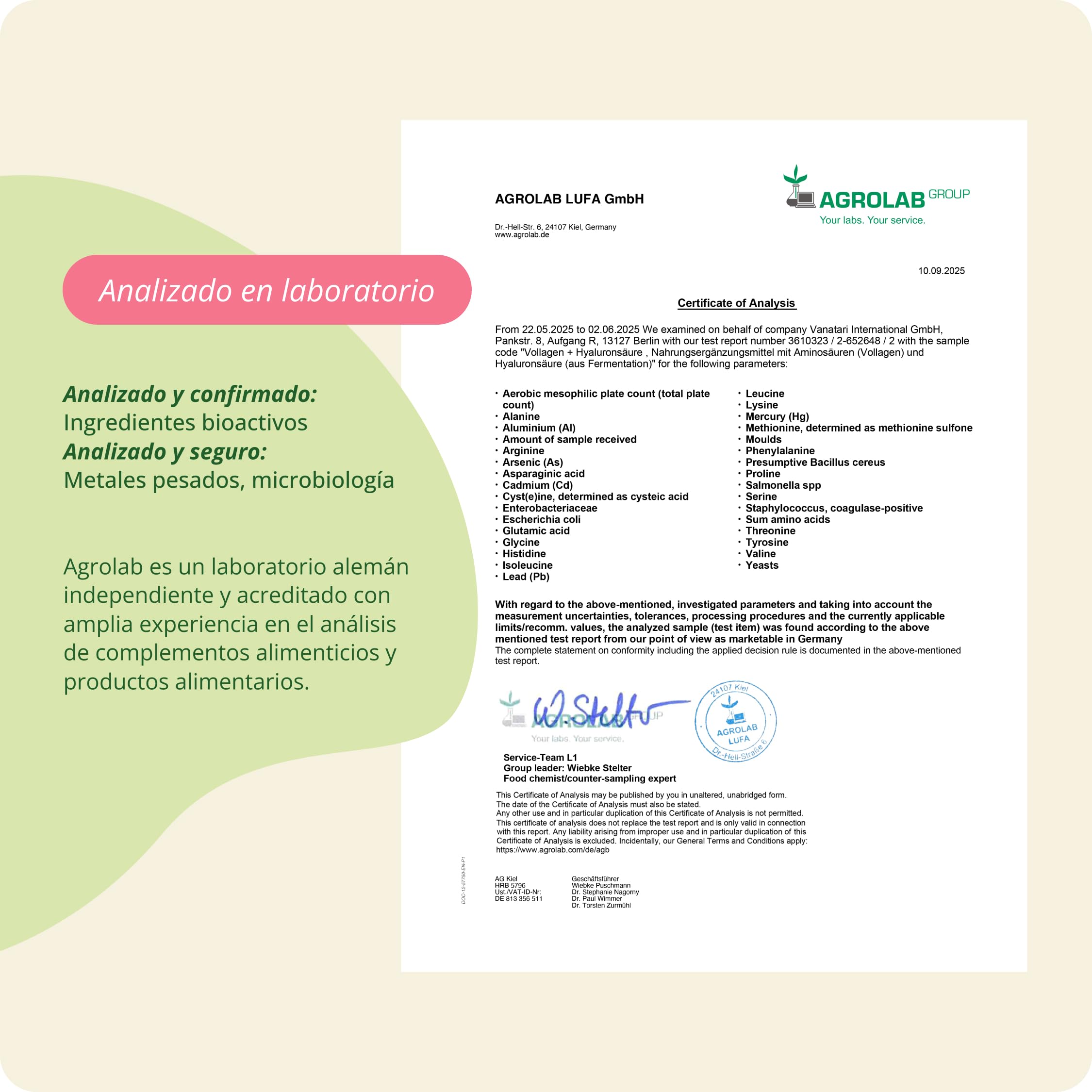 Vegavero Colágeno Vegano + Ácido Hialurónico | DOSIS ALTA | Piel + Cabello + Antiedad | AMINOÁCIDOS | Articulaciones + Masa Muscular | Materia Premium: Vollagen | Sin Aditivos
