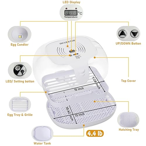 Miniatura 5 de 16 incubadoras de huevos para incubar huevos con control de temperatura, vela de huevo, incubadoras automáticas de aves de corral para incubar