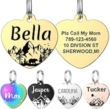 YEHANTI Dog Tag with Personalised Engraving, Engraved Dog and Cat ID Tag, Stainless Steel Dog Tag with Engraved First Name Address (L, Gold)