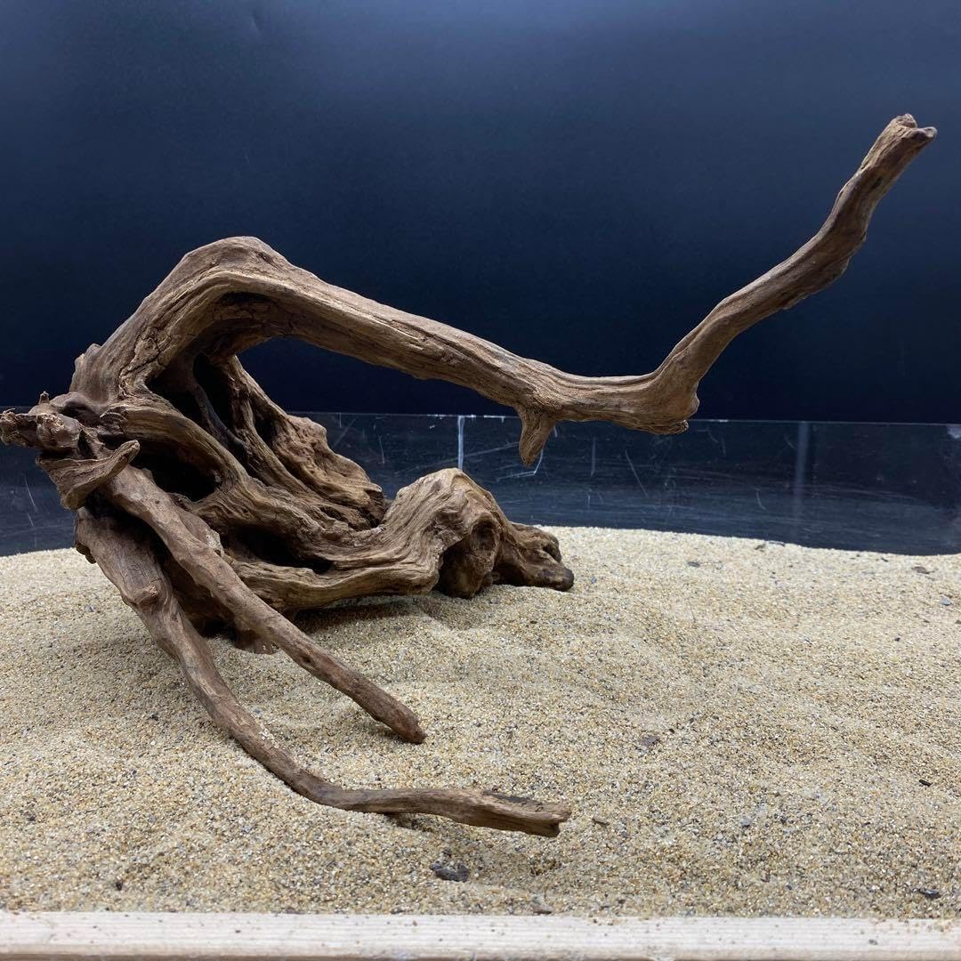 販売済み 極上流木 縁起物 天然 自然流木 1kg H23×W24×D21(cm)極上流木