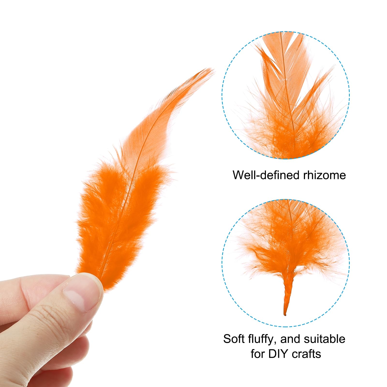 PATIKIL 3-5 Inch Rooster Feathers - Image 3