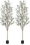 Kazeila Artificial Olive Tree 5FT Tall Faux Silk Plant for Home Office Decor Indoor Fake Potted Tree with Wood Branches and Fruits
