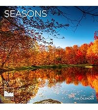 July 2025- December 2026 Owls Wall Calendar 18 Month | 12" X 24