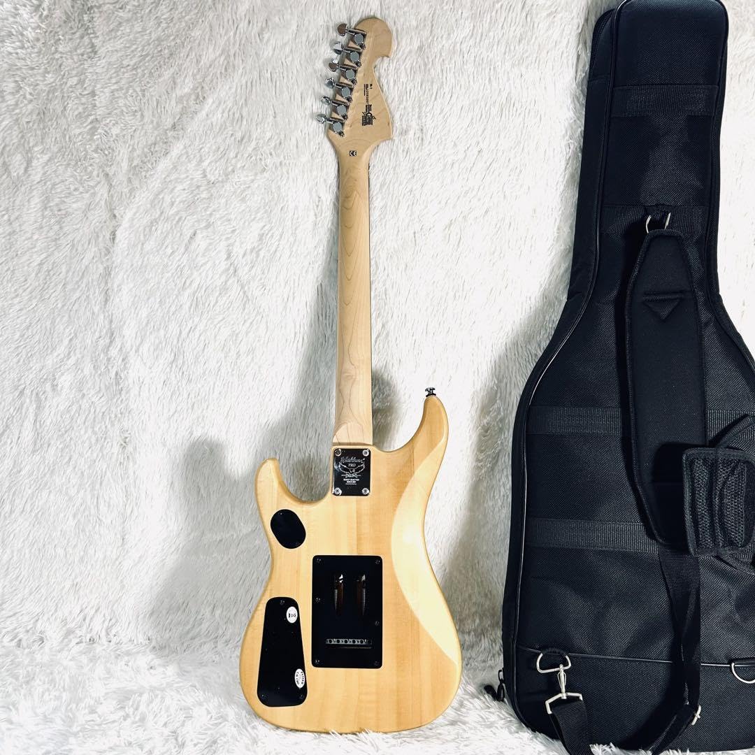washburn ワッシュバーン ヌーノ・ベッテンコート N1 激渋 送料無料❗️ WASHBURN N2 NUNO S/N：IW24030034 【ヌーノ・ベッテンコート