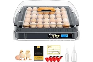 Sailnovo 35-65 Egg Incubator: Advanced Hatching for Poultry Breeders