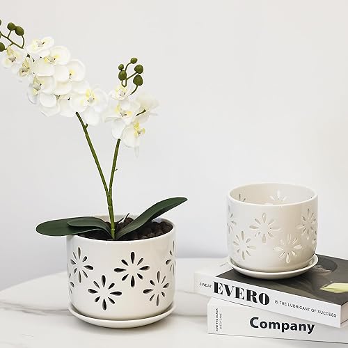 Miniatura 2 de EFISPSS Maceta de orquídea de 5 + 6 pulgadas, macetas de orquídeas de drenaje de cerámica con agujeros para un crecimiento saludable de las raíces,