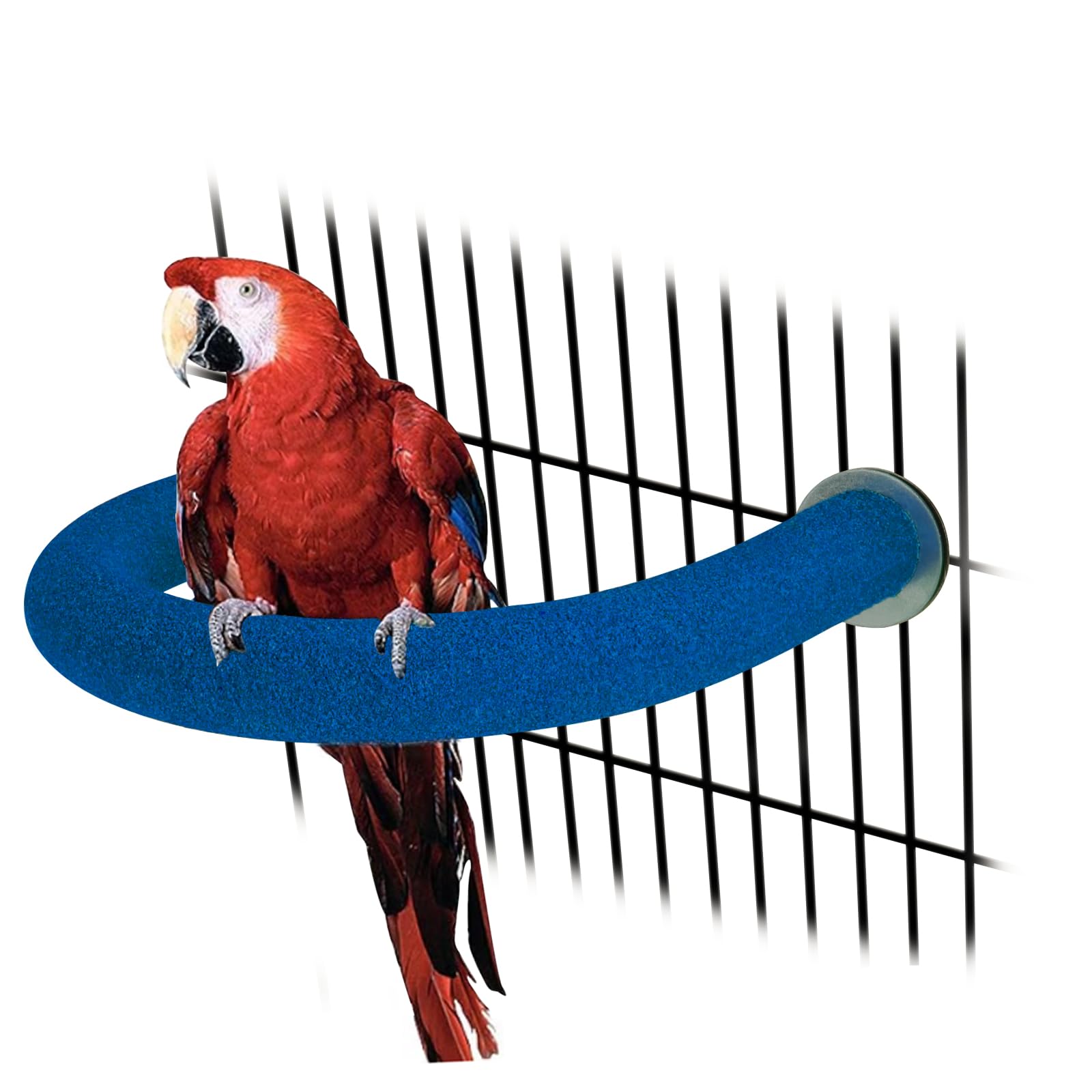 Rypet U Shape Parrot Perch Stand Toy for Paw Grinding Clean Stick Exercise, Rough-Surfaced Quartz Bird Perch Standing Cage Accessories for for Small Parakeets Cockatiels Conures Macaws Finches(Blue)